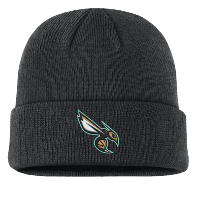 Charlotte Hornets Terra City Edition Nika NBA Beanie