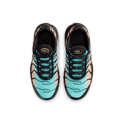 Nike Air Max Plus Little Kids' Shoes