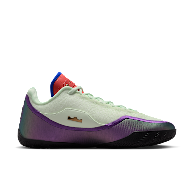 LeBron XXIII 'Best In Class' Basketball Shoes
