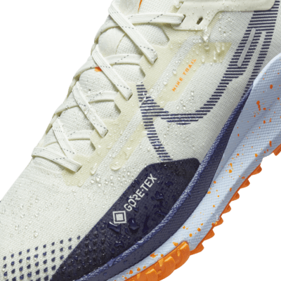 Nike Pegasus Trail 4 GORE-TEX Su Geçirmez Arazi Tipi Erkek Koşu Ayakkabısı