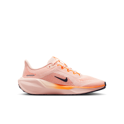 Tenis de correr en pavimento para niños grandes Nike Pegasus 41