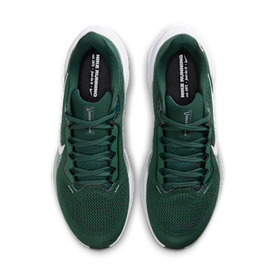 Michigan State Pegasus 41 Men's Nike College Road Running Shoes