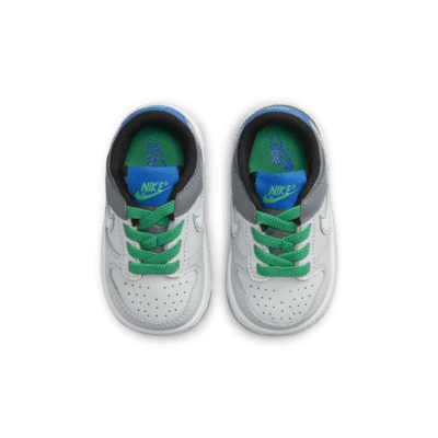 Nike Dunk Low Baby/Toddler Shoes. Nike PH