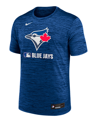 Мужская футболка Toronto Blue Jays Authentic Collection Velocity Nike Dri-FIT MLB