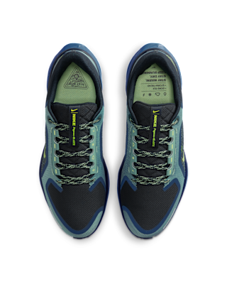 Nike Pegasus 41 GORE-TEX