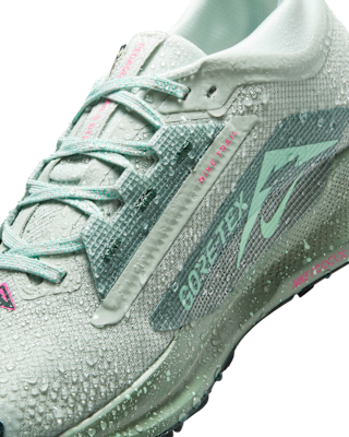 Nike Pegasus Trail 5 GORE-TEX