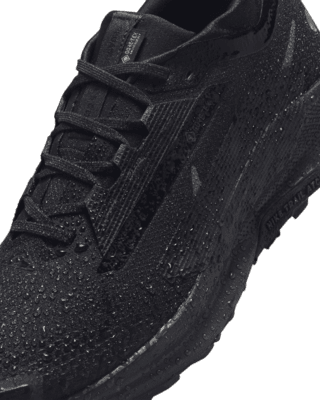 Nike Pegasus Trail 5 GORE-TEX