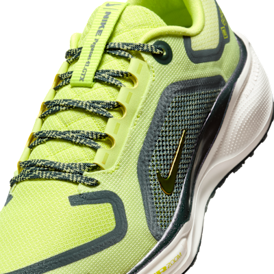 Nike Pegasus 41 GORE-TEX Su Geçirmez Kadın Yol Koşu Ayakkabısı