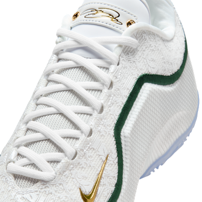 LeBron XXIII 'From This Point Forward' Basketball Shoes