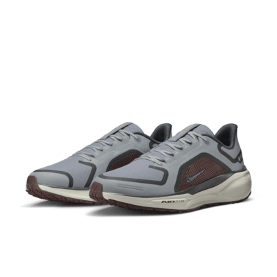 Nike Pegasus 41 GORE-TEX wasserdichter Straßenlaufschuh (Herren)