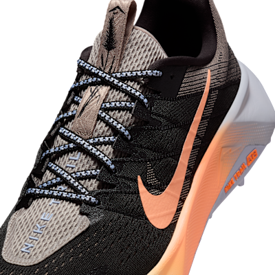 Chaussure de trail Nike Wildhorse 10 pour homme