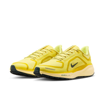 Nike Pegasus 41 GORE-TEX Su Geçirmez Erkek Yol Koşu Ayakkabısı