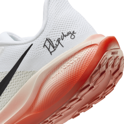 Nike Pegasus 41 "Eliud Kipchoge" Straßenlaufschuh (Herren)