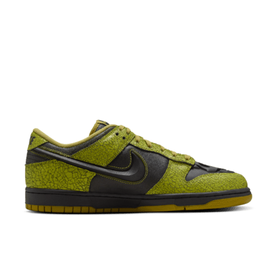 Nike Dunk Low Retro Men's Shoes