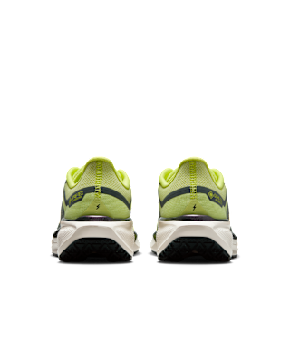 Nike Pegasus 41 GORE-TEX