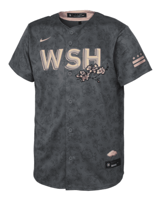 Подростковые джерси Washington Nationals City Connect Big Kids' Nike MLB Replica Jersey