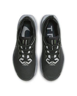 Nike Pegasus Trail 5 GORE-TEX