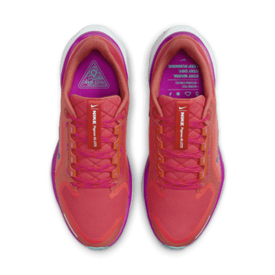 Chaussure de running sur route imperméable Nike Pegasus 41 GORE-TEX pour femme