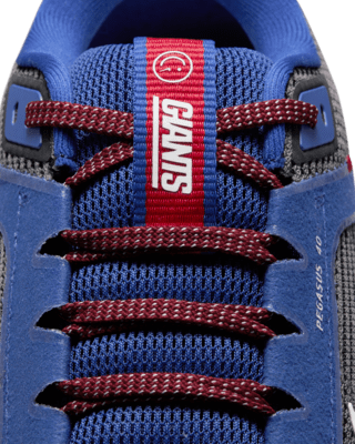 Nike Pegasus 40 (NFL Las Vegas Raiders) Men's Road Running Shoes