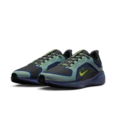 Nike Pegasus 41 GORE-TEX Men's Waterproof Road Running Shoes