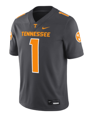 Мужские джерси Tennessee Volunteers Volunteer State Smokey Grey Nike Dri-FIT College Game Jersey