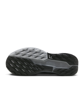 Nike Pegasus Trail 5 GORE-TEX