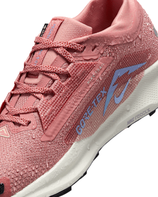 Nike Pegasus Trail 5 GORE-TEX