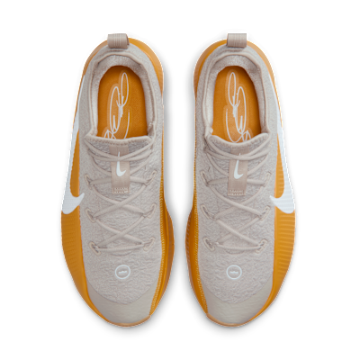 LeBron TR 1 treningssko til herre