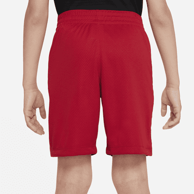 Nike Trophy Big Kids' (Boys') Training Shorts