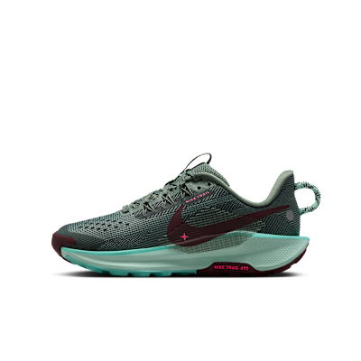 Nike Pegasus Trail 5