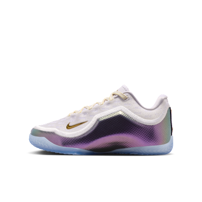 LeBron XXIII "For The Record" Big Kids' Basketball Shoes from Nike - $165