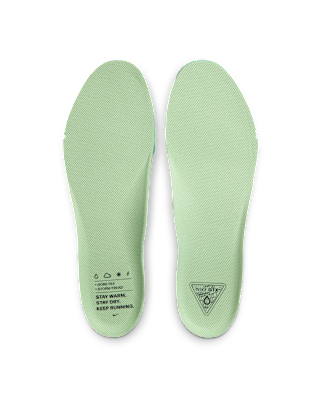 Nike Pegasus 41 GORE-TEX