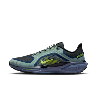 Nike Pegasus 41 GORE-TEX Men's Waterproof Road Running Shoes