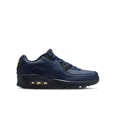 Nike Air Max 90 LTR sko til store barn