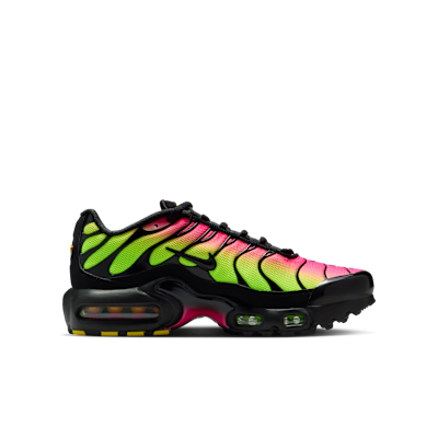 Nike Air Max Plus Big Kids' Shoes