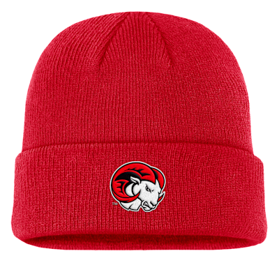 Nike College Terra (Winston-Salem State University) Beanie