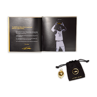 レブロン 23 "Miami Twice" バスケットボールシューズ