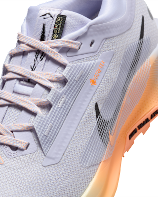 Nike Pegasus Trail 5 GORE-TEX