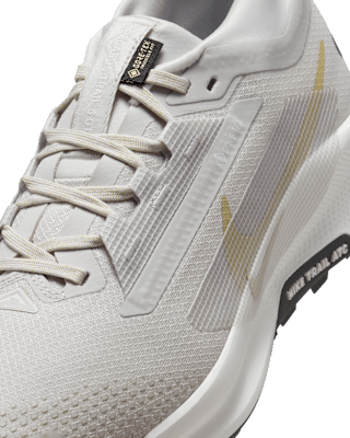 Nike Pegasus Trail 5 GORE-TEX