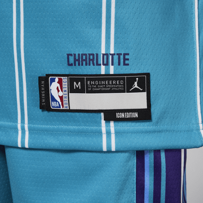 LaMelo Ball Charlotte Hornets Icon Edition Jordan Dri-FIT NBA Swingman Jersey för ungdom