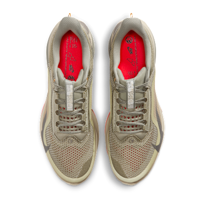 Chaussure de running sur route Nike Pegasus Premium pour homme