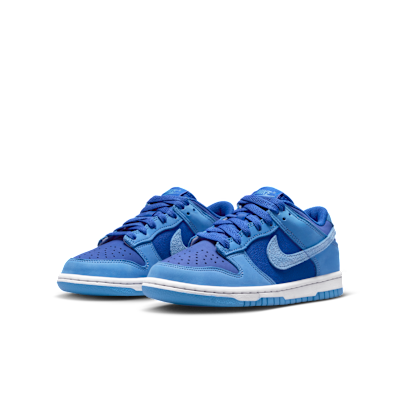 Nike Dunk Low SE Big Kids' Shoes