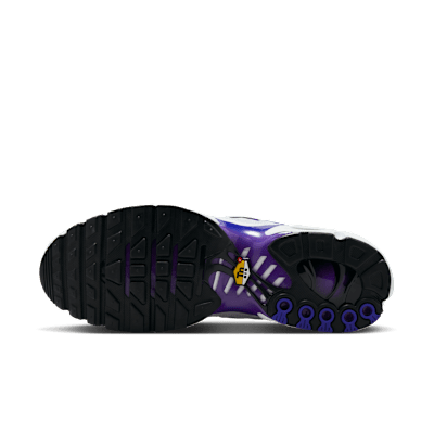 Chaussure Nike Air Max Plus pour homme