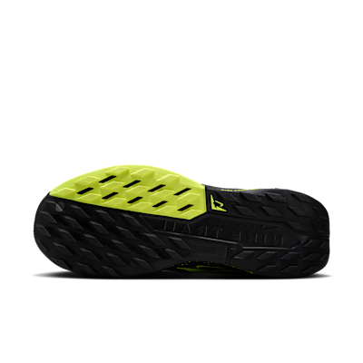 Nike Pegasus Trail 5 Traillaufschuh (Herren)