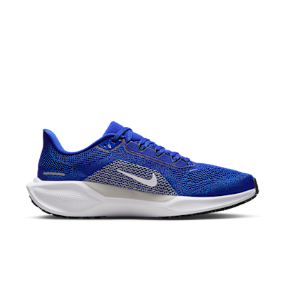 Kentucky Pegasus 41 Men's Nike College Road Running Shoes