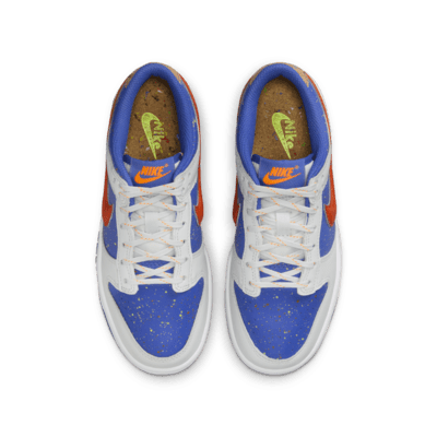 Nike Dunk Low Big Kids' Shoes