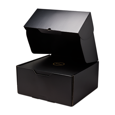 Tenis de básquetbol LeBron XXIII ALT