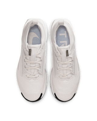 Nike Pegasus Trail 5 GORE-TEX