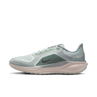 Nike Pegasus 41 GORE-TEX