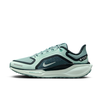 Nike Pegasus 41 GORE-TEX
